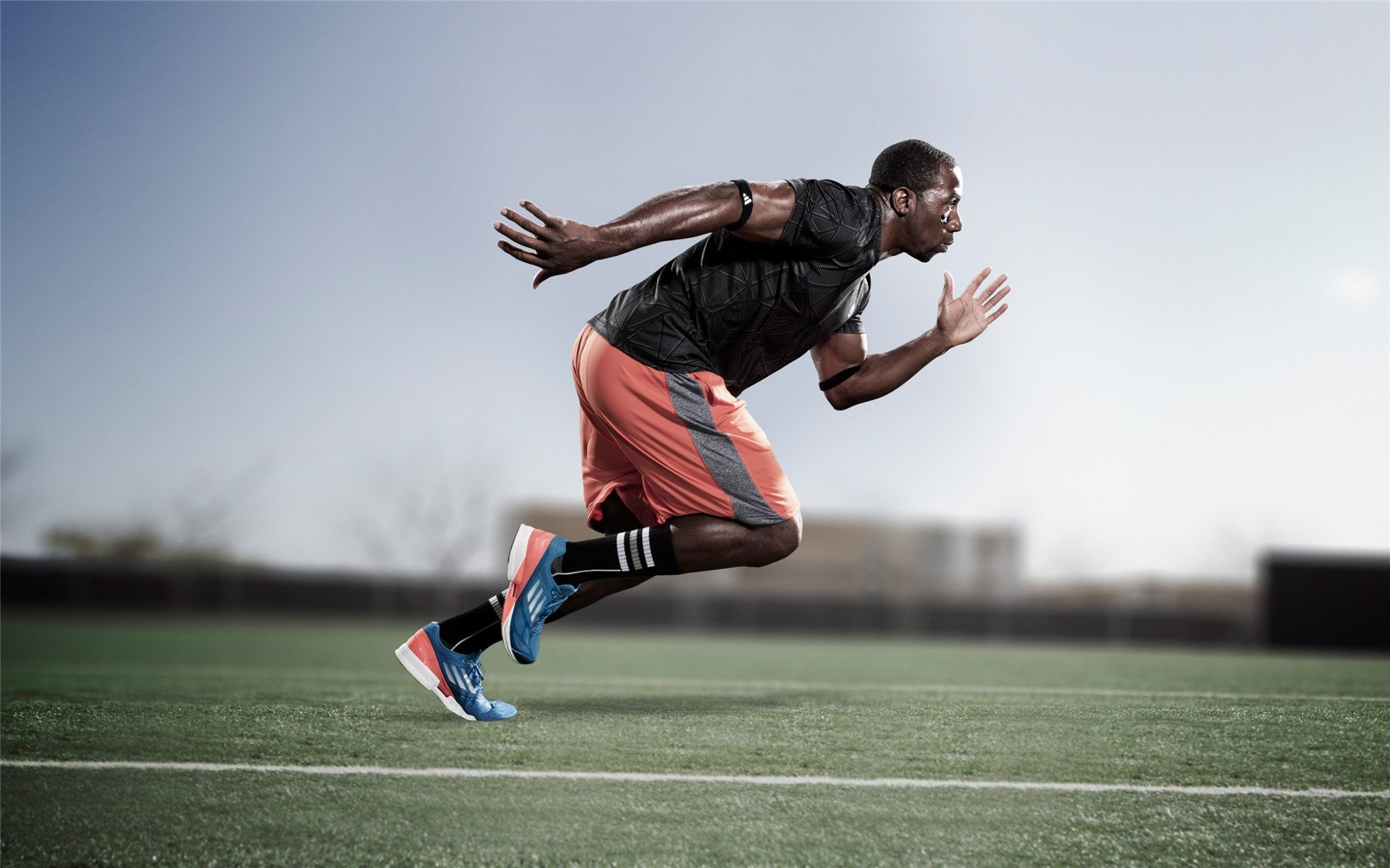 美洲杯热血沸腾：明星拼搏，精彩不断！，美洲杯现场观众