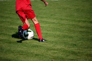 九游jiuyou-中国足球职业俱乐部推动管理层岗位轮训制度，职业足球俱乐部训练计划